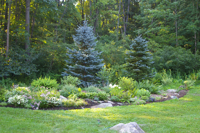 Berm Landscaping Ideas