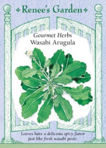 Wasabi Arugula Seed Pack_ ReneesGarden
