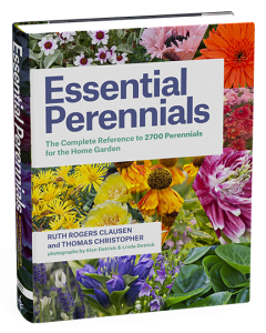 Essential Perennials COVER 3D